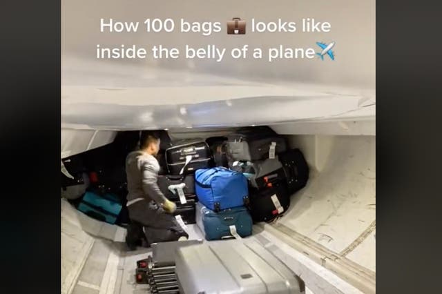 <p>Video shows 'real world Tetris' scenario as baggage is loaded into airplane cargo hold</p>