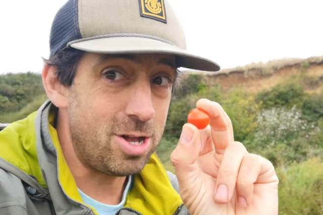 <p>Local wildlife enthusiast Nik Mitchell with a ‘poop tomato'</p>