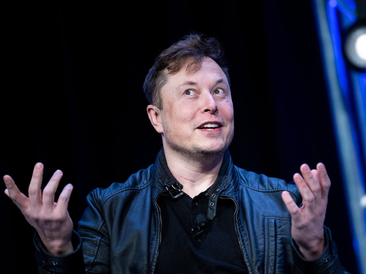 Elon Musk gets proof from UN that his taxes could combat world poverty - The Independent