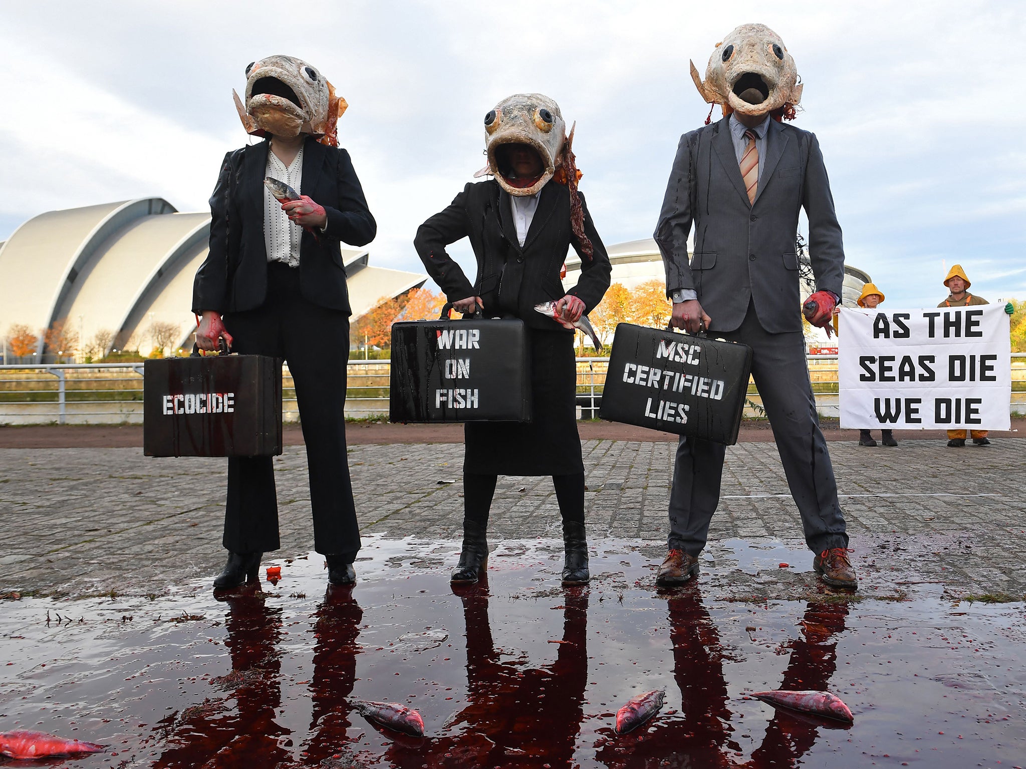 <p>Ocean Rebellion activists stage a protest  in Glasgow against deep sea fishing</p>