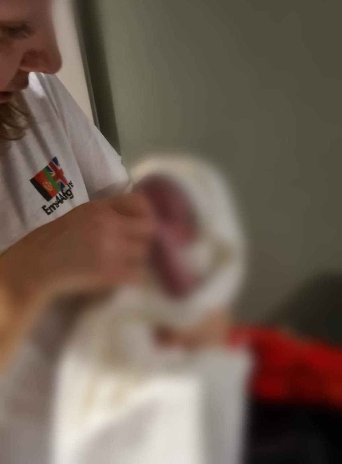 Program to kill Grand Canyon bison nets 4 animals, criticism