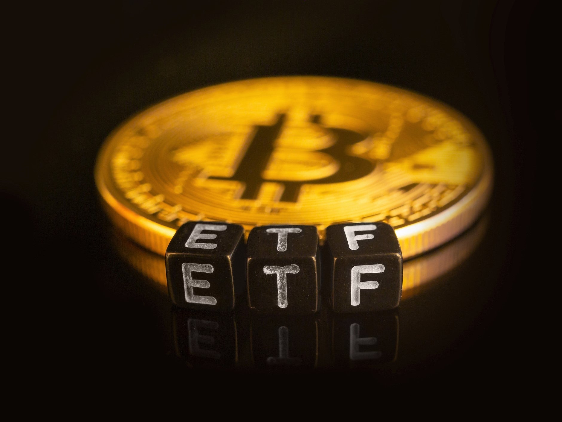 The US Securities Exchange Commission has until 14 November to approve or reject spot bitcoin ETF