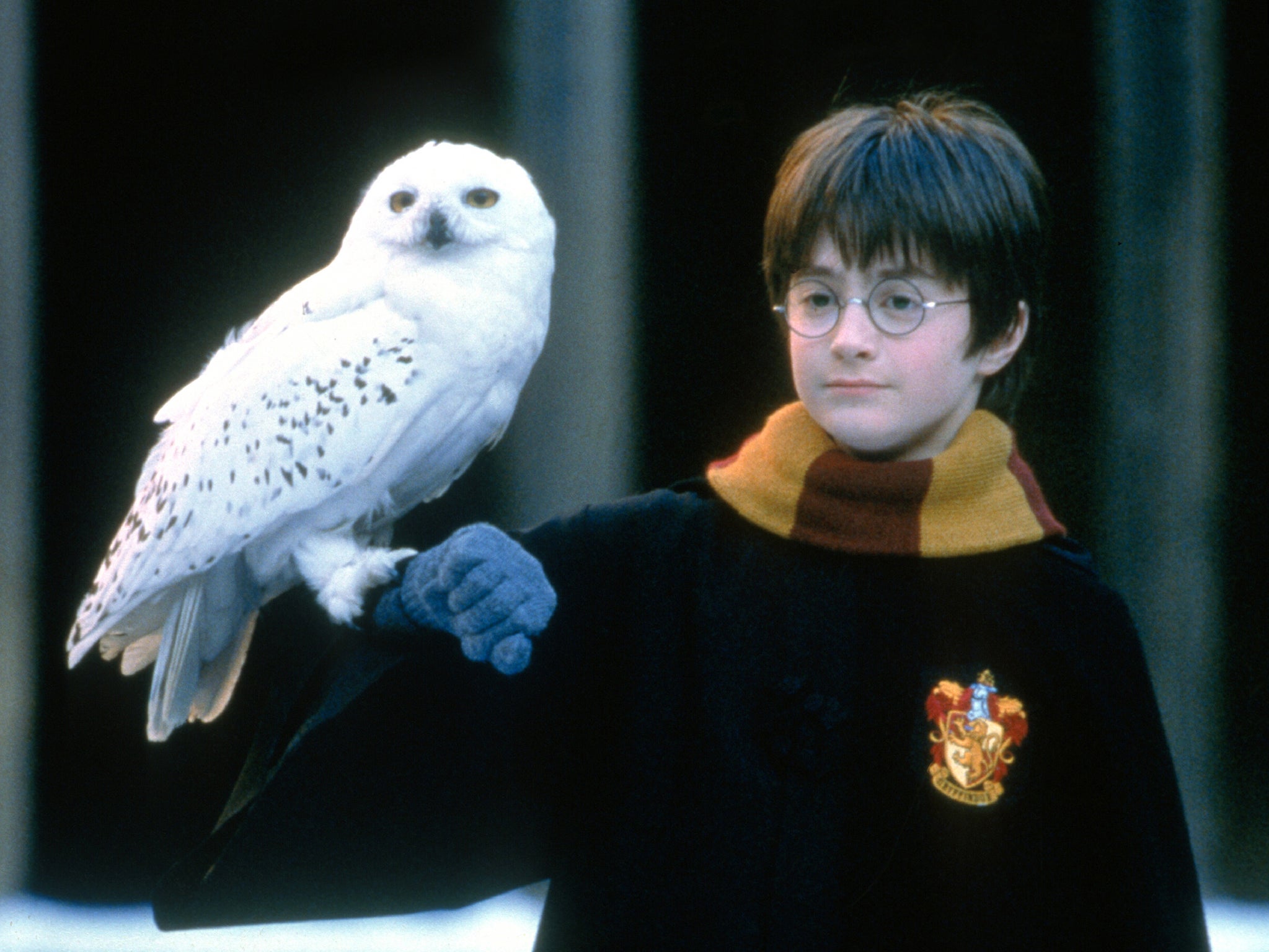 ‘I wanted kids who didn’t have a lot of experience’: Daniel Radcliffe and Hedwig the Owl in ‘Harry Potter and the Philosopher’s Stone'