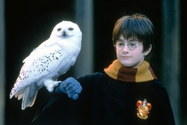 <p>‘I wanted kids who didn’t have a lot of experience’: Daniel Radcliffe and Hedwig the Owl in ‘Harry Potter and the Philosopher’s Stone'</p>