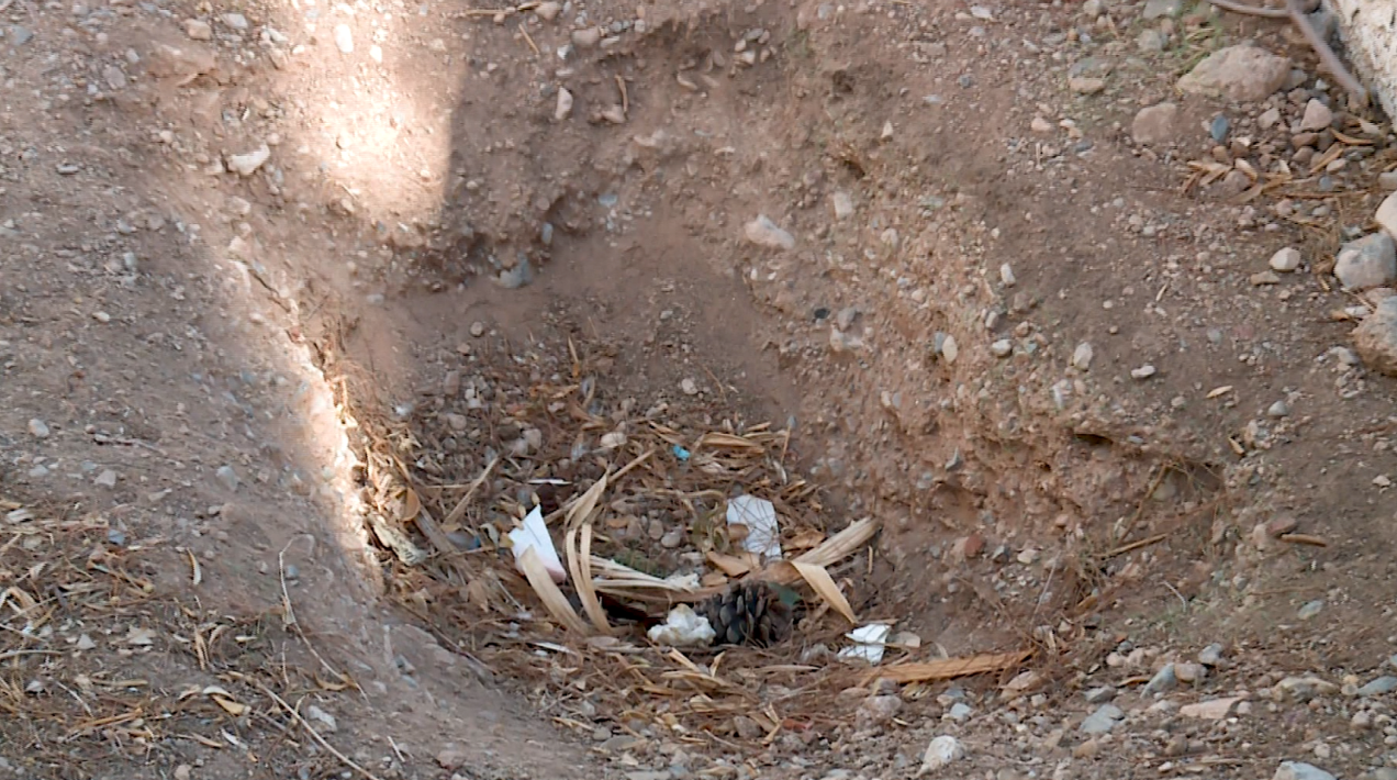 Police found Ms Payne’s remains in this grave after receiving a tip from her neighbours