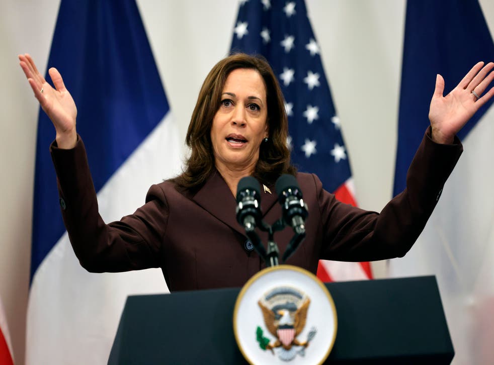 FRANCIA-EEUU VICEPRESIDENTA