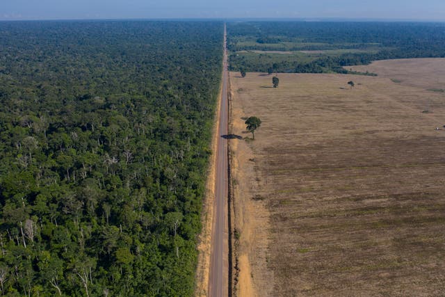 BRASIL-AMAZONÍA