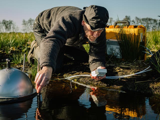 <p>Scientist Chris Field of Manchester Metropolitan University measures water temperature and nutrient levels at Winmarleigh and Cockerham Moss, Lancashire’s largest peatland</p>