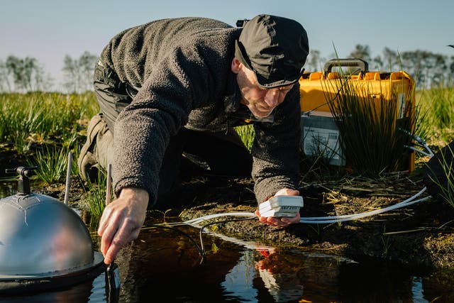 <p>Scientist Chris Field of Manchester Metropolitan University measures water temperature and nutrient levels at Winmarleigh and Cockerham Moss, Lancashire’s largest peatland</p>