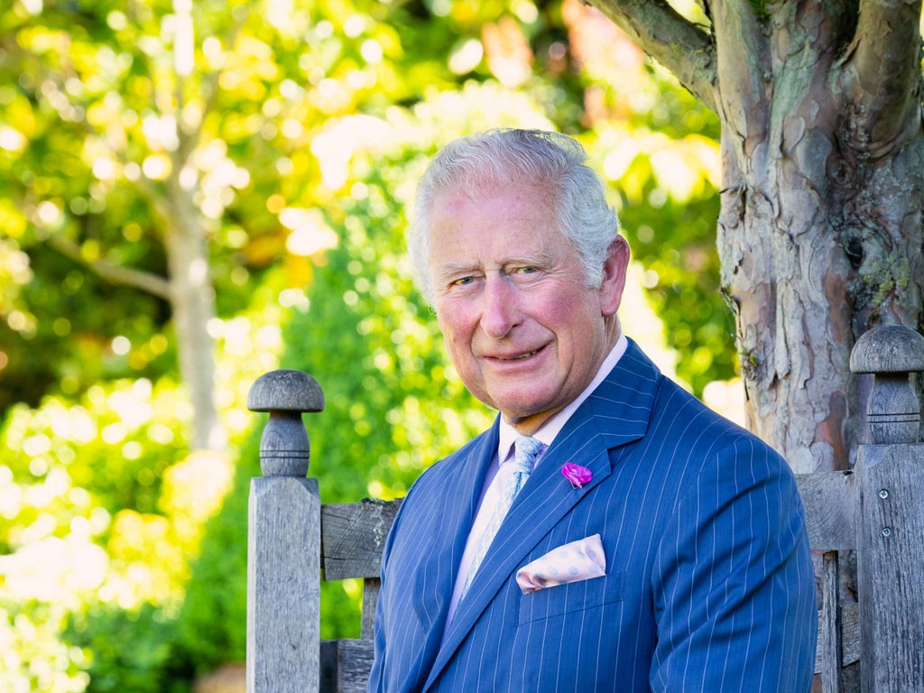 Prince Charles marks 73rd birthday with new portrait