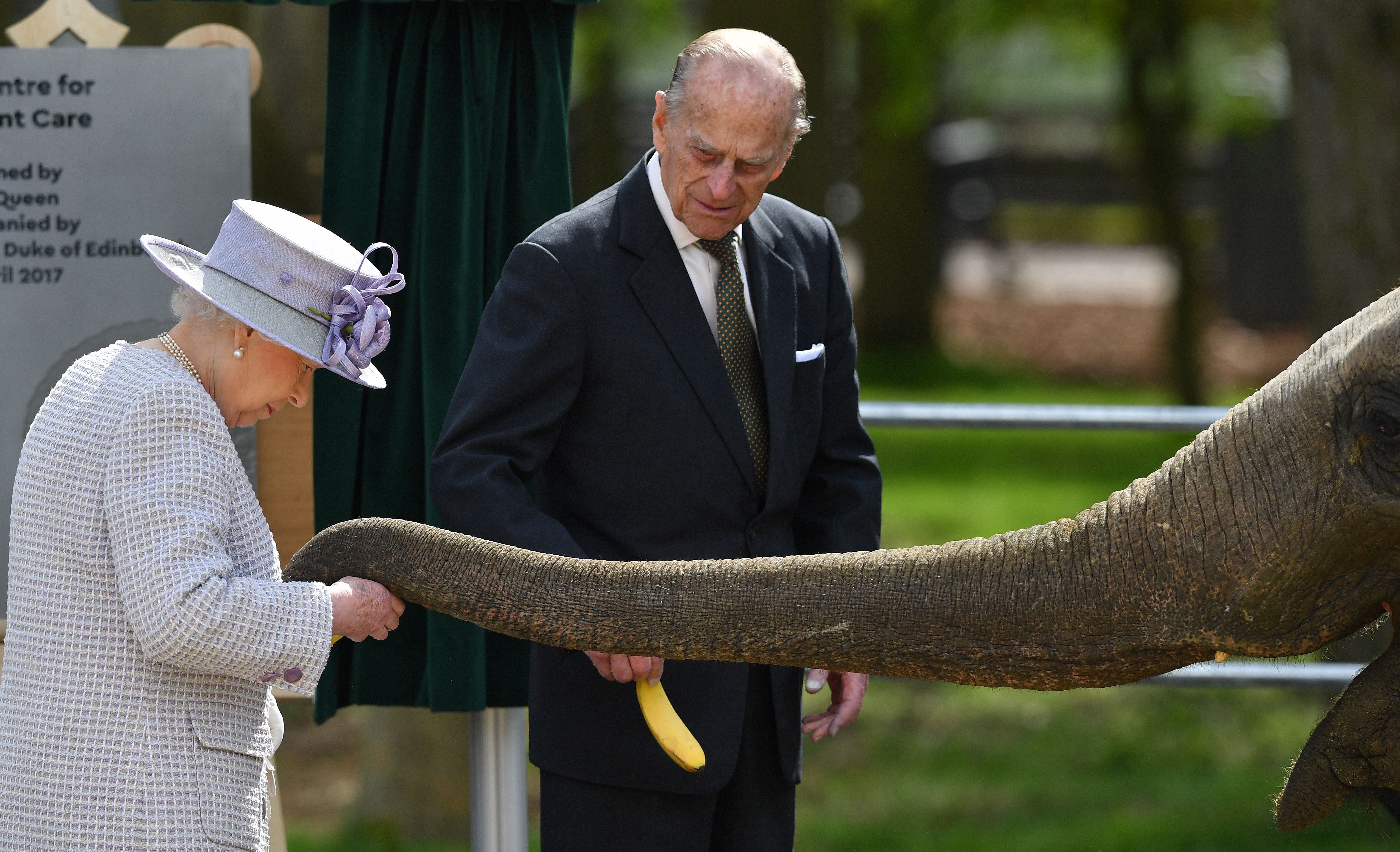 Prince Philip watches as his wife Queen Elizabeth II feed an elephant named ‘Donna’ after opening the new Centre for Elephant Care at ZSL Whipsnade Zoo in 2017