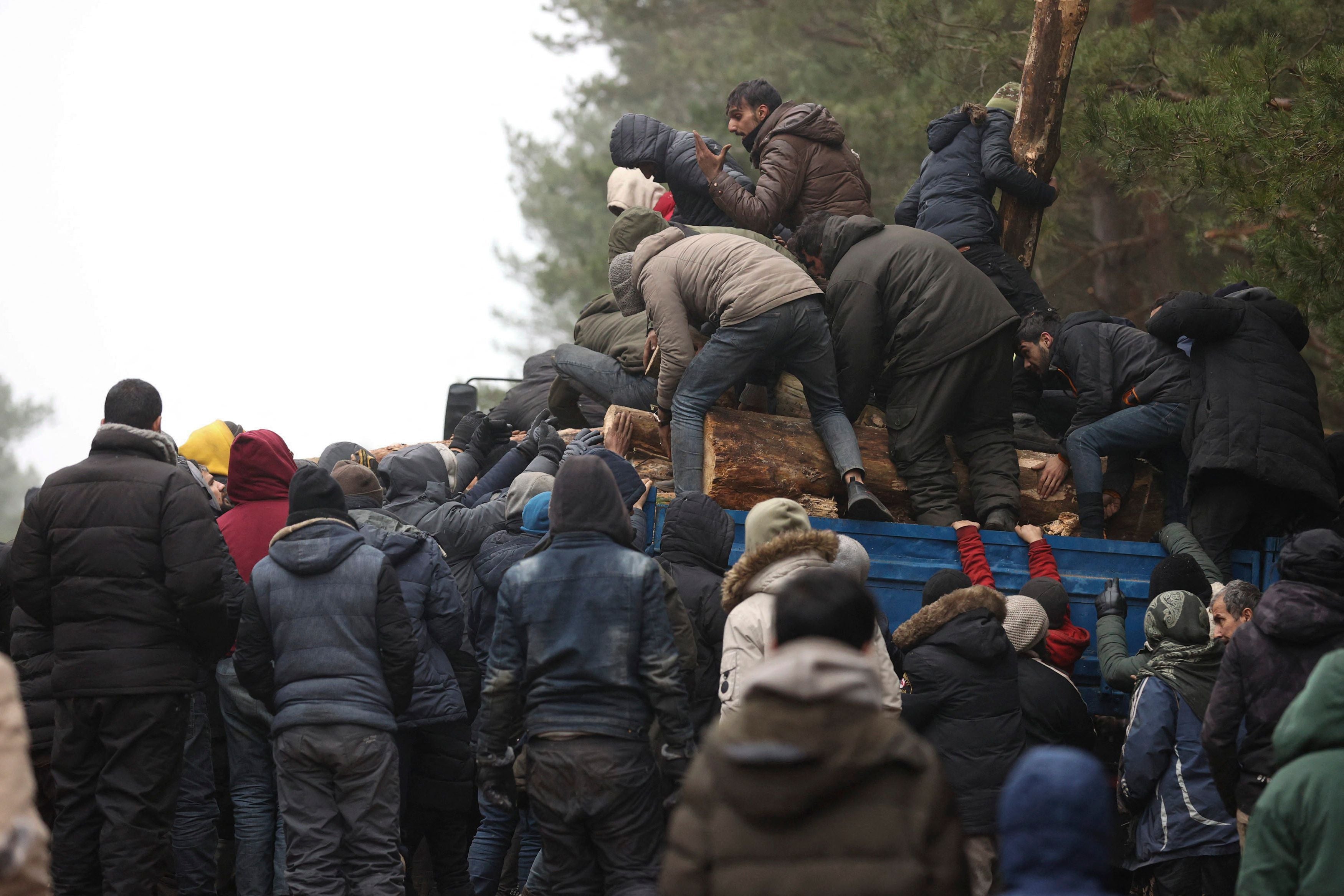 A group of migrants unload a truck with tree trunks