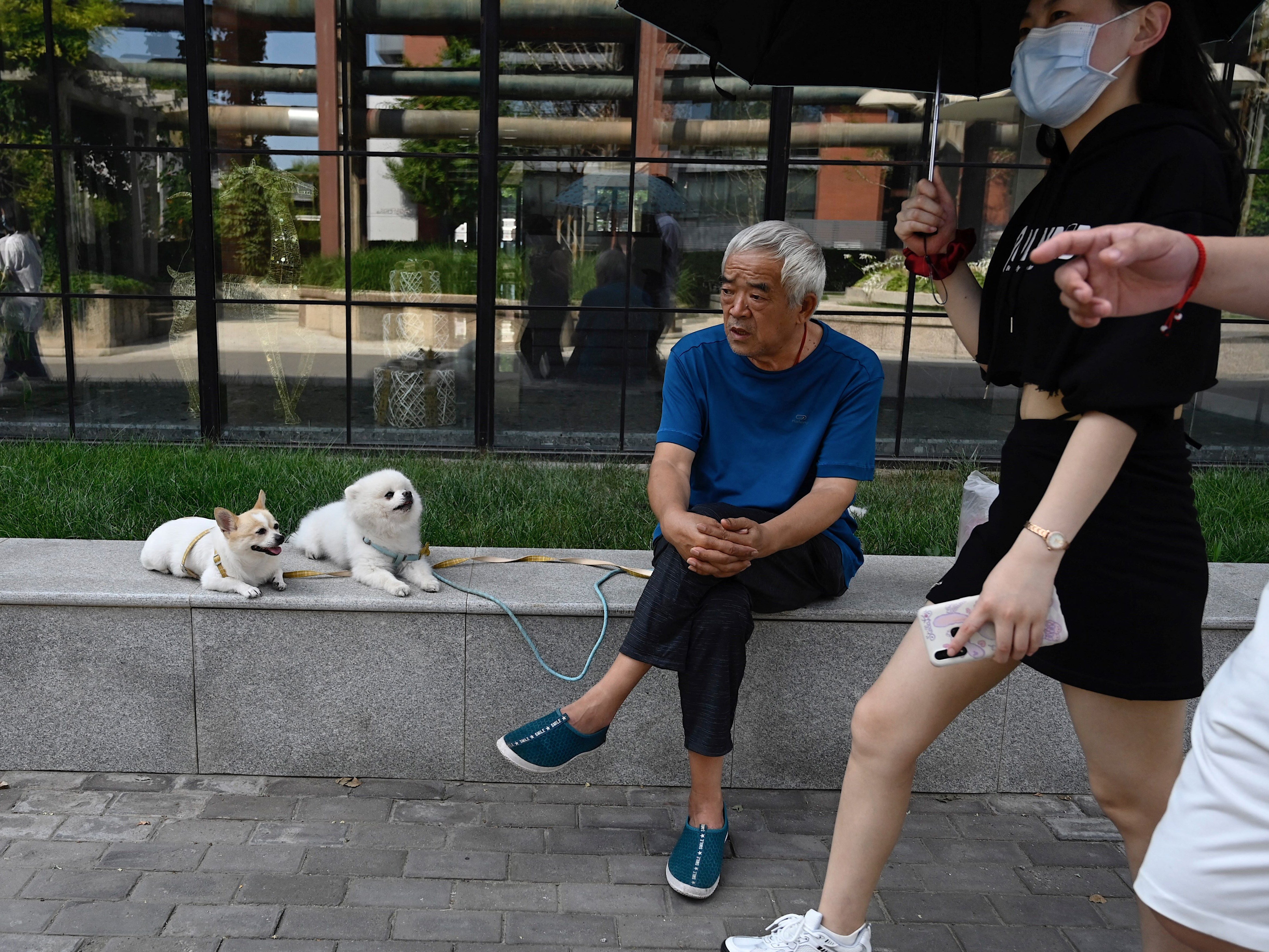 File: An elderly man sits on a bench with two pet dogs as a woman walks past at 798 art district in Beijing on 21 August 2021