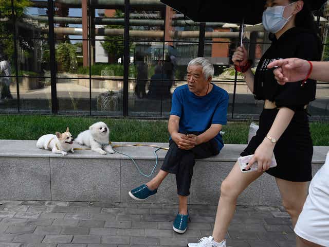 <p>File: An elderly man sits on a bench with two pet dogs as a woman walks past at 798 art district in Beijing on 21 August 2021</p>