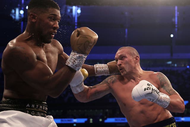 <p>Oleksandr Usyk took a comfortable victory over Anthony Joshua in September</p>