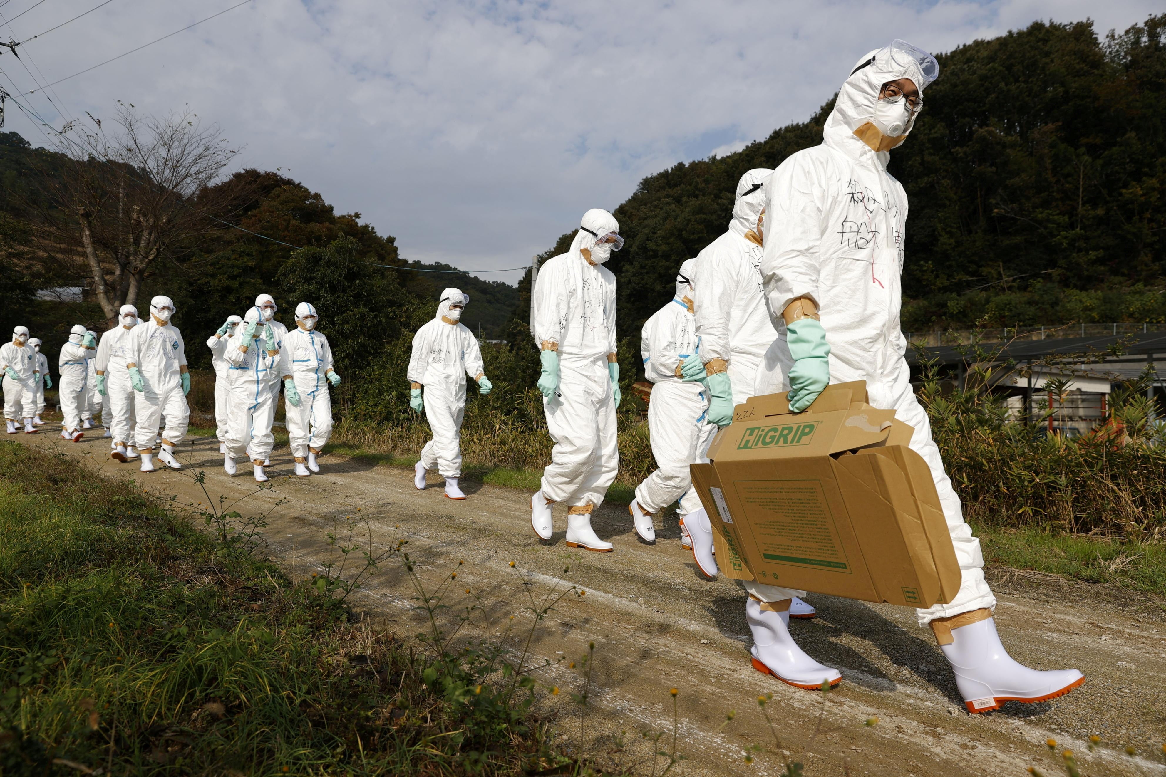 Officials in protective suits head to a poultry farm for a suspected bird flu case in Higashikagawa, western Japan in 2020