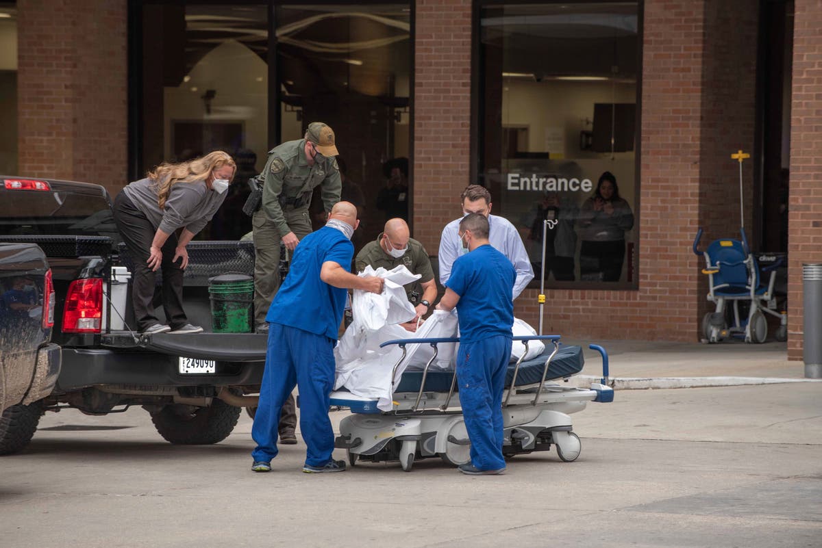 Deer runs into hospital, up escalator; later is euthanized