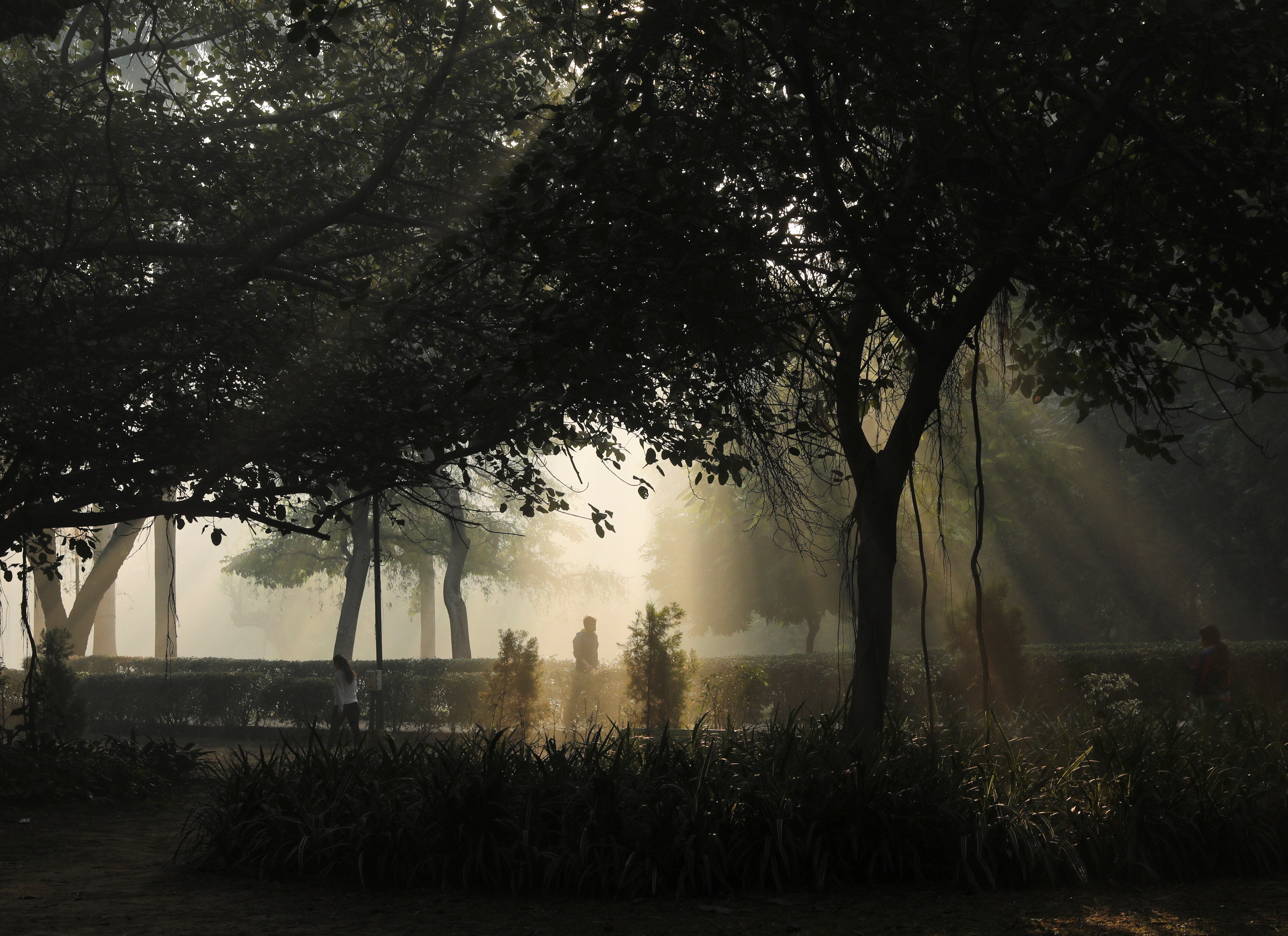 People walk on a smoggy morning at Lodhi Garden in New Delhi on 16 November