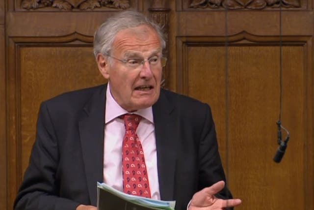 <p>Sir Christopher Chope speaking in the House of Commons</p>