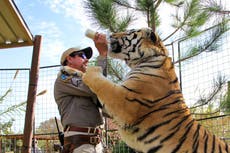Tiger King 2 review: An icky didn’t-we-do-well lap of honour for Netflix