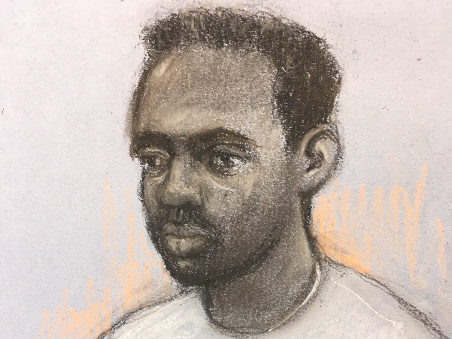 Court told Zephaniah McLeod (pictured in a court artist sketch) missed a key mental health appointment days before he went on a stabbing spree in Birmingham