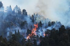 Wind-stoked wildfire causes death in Wyoming, evacuations