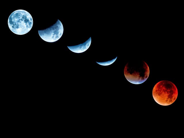 <p>The lunar eclipse will peak at around the same time as the Beaver full moon on 19 November, 2021</p>