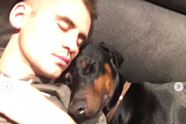 <p>Alex Hales with his dog, named Kevin, in 2017</p>