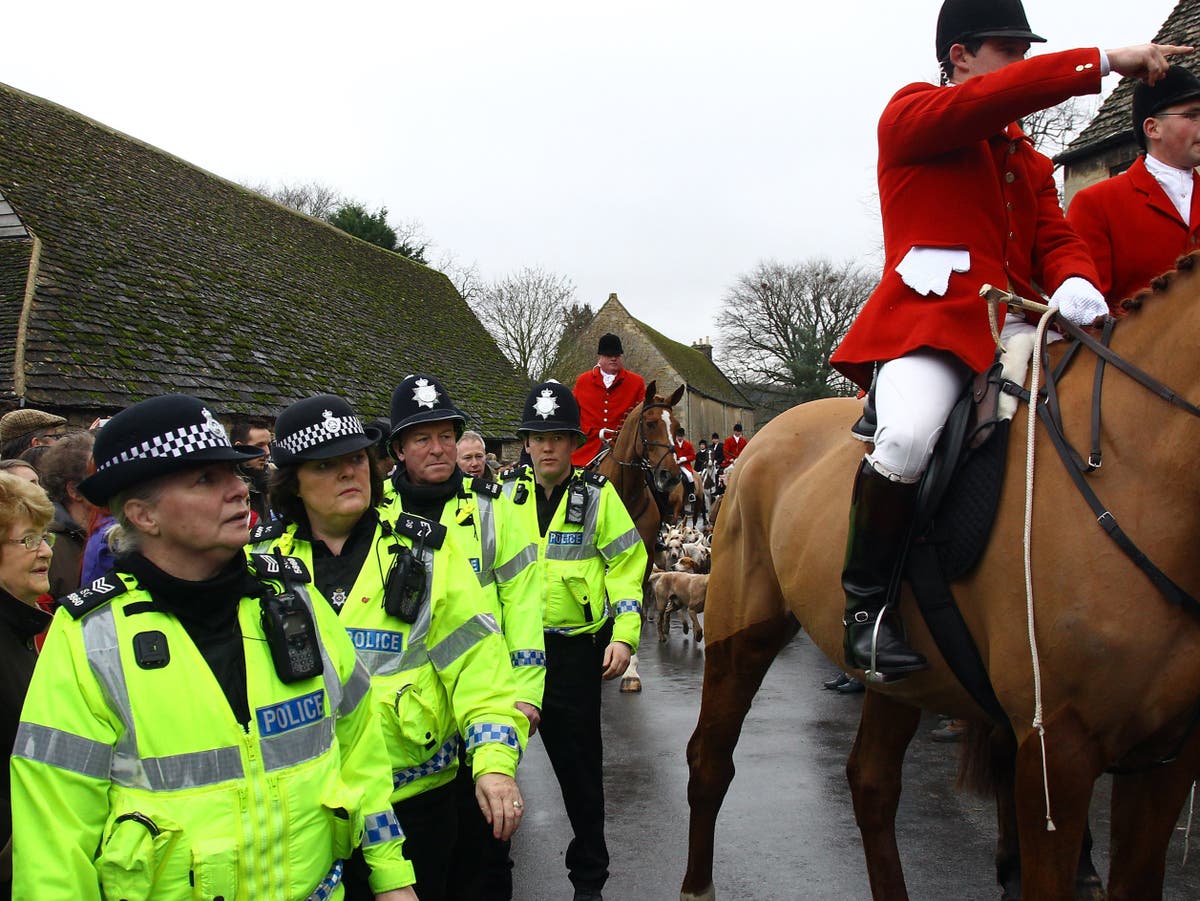 Police ‘have biased beliefs on illegal foxhunting opponents and challenge them more than hunters’ Police ‘have biased beliefs on illegal foxhunting opponents and challenge them more than hunters’