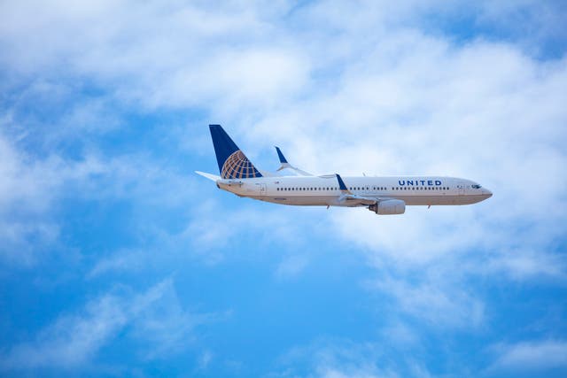 <p>The incident took place on a United Airlines flight in June</p>