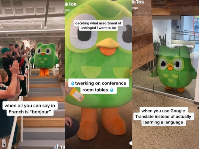 Duolingos Mascot Becomes Tiktok Icon By Twerking On 