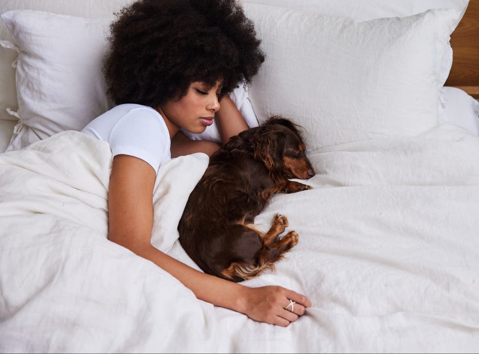 <p>About half of all pet owners allow their pets to sleep in the bed</p>