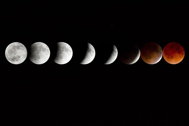 <p>The almost-total lunar eclipse on 19 November will be the longest in more than 500 years</p>