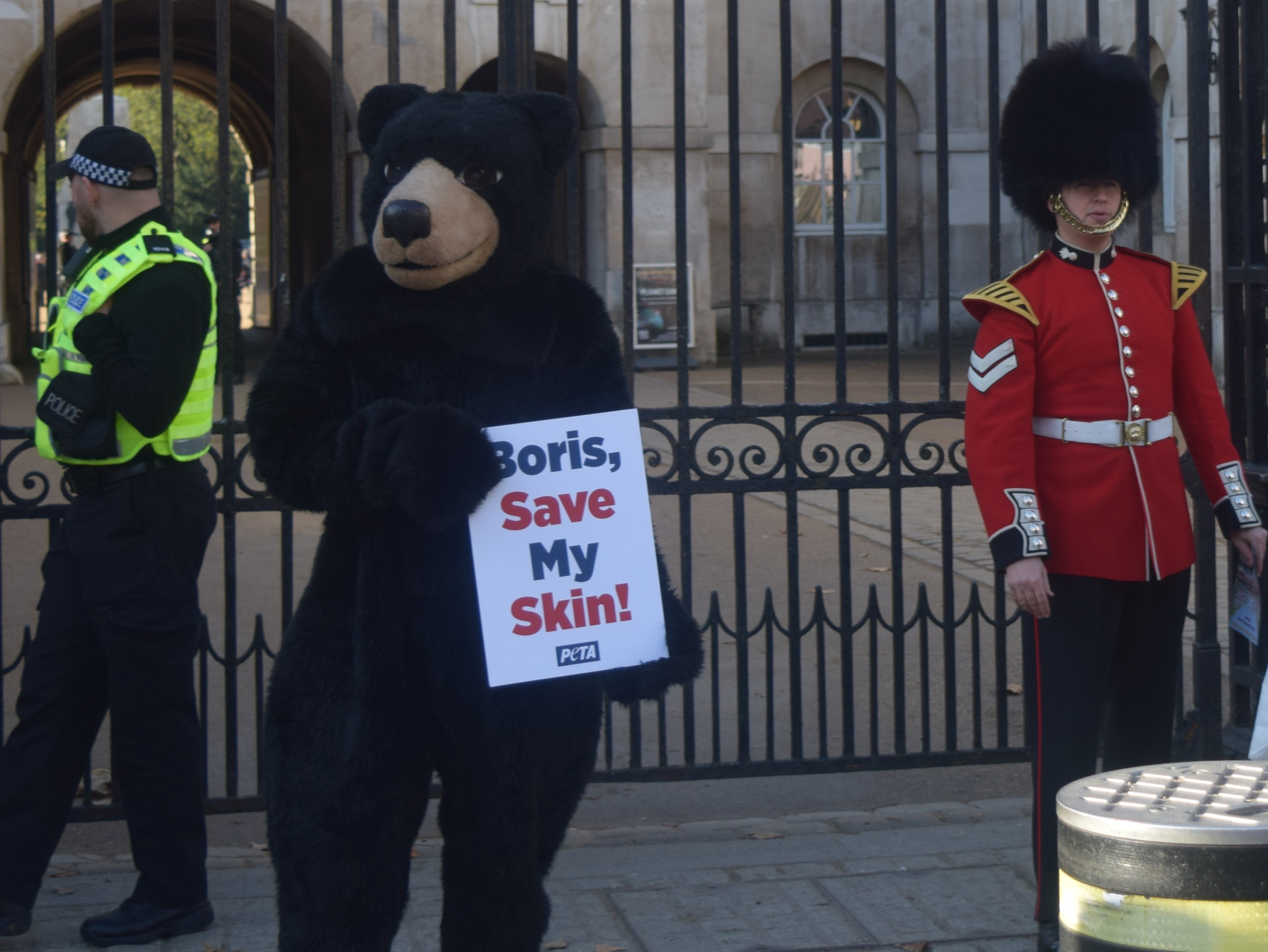 <p>A fake-fur ‘bear’ at Downing Street in an appeal to the PM </p>