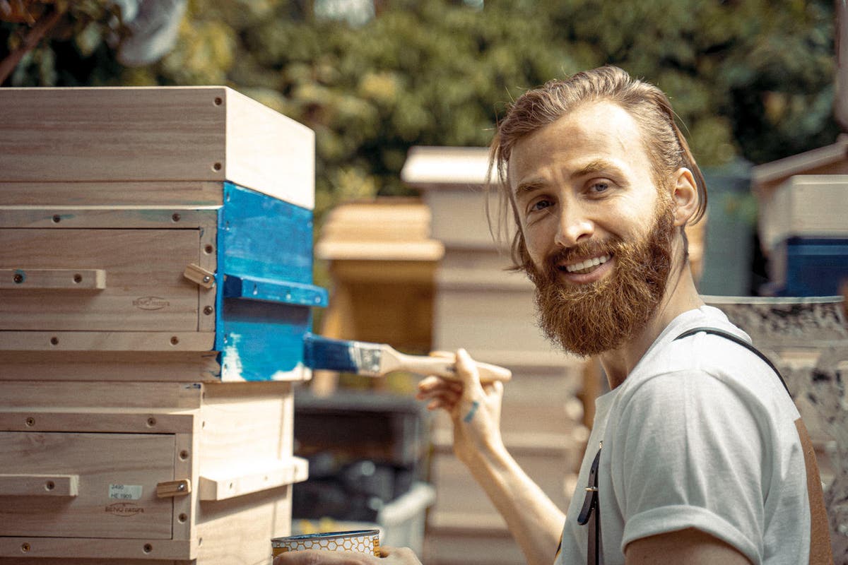 Beekeeping ‘breaks connection with trauma’ for refugees, says charity founder Beekeeping ‘breaks connection with trauma’ for refugees, says charity founder