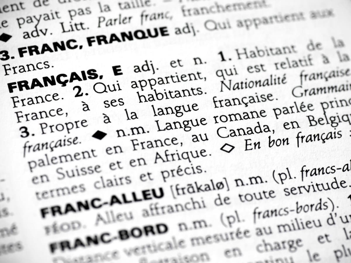 French dictionary adds non-binary pronoun French dictionary adds non-binary pronoun