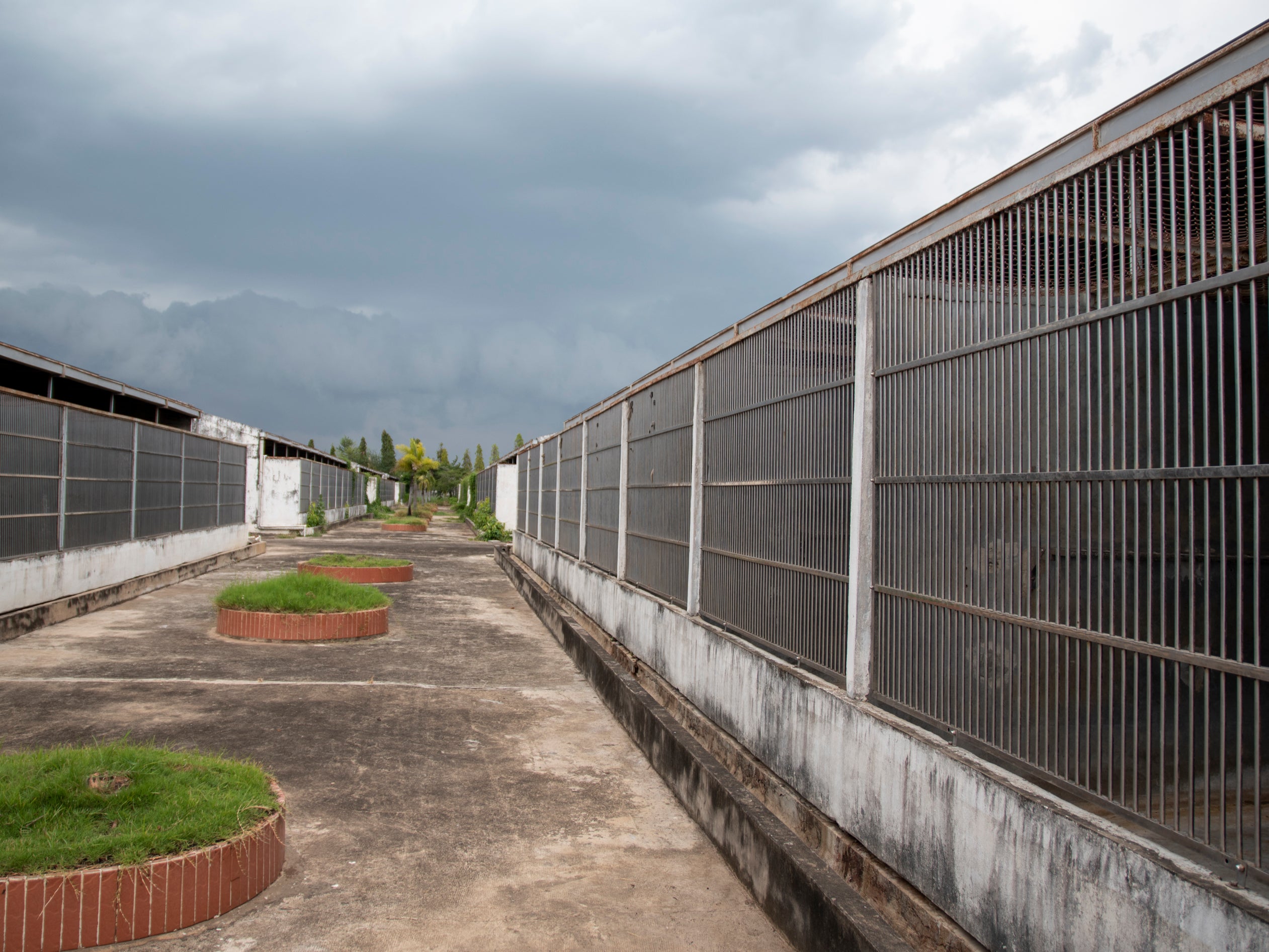 Rows of cages at a breeding centre