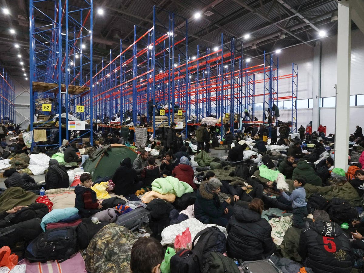Lukashenko admits Belarusian troops may have helped migrants into EU Lukashenko admits Belarusian troops may have helped migrants into EU