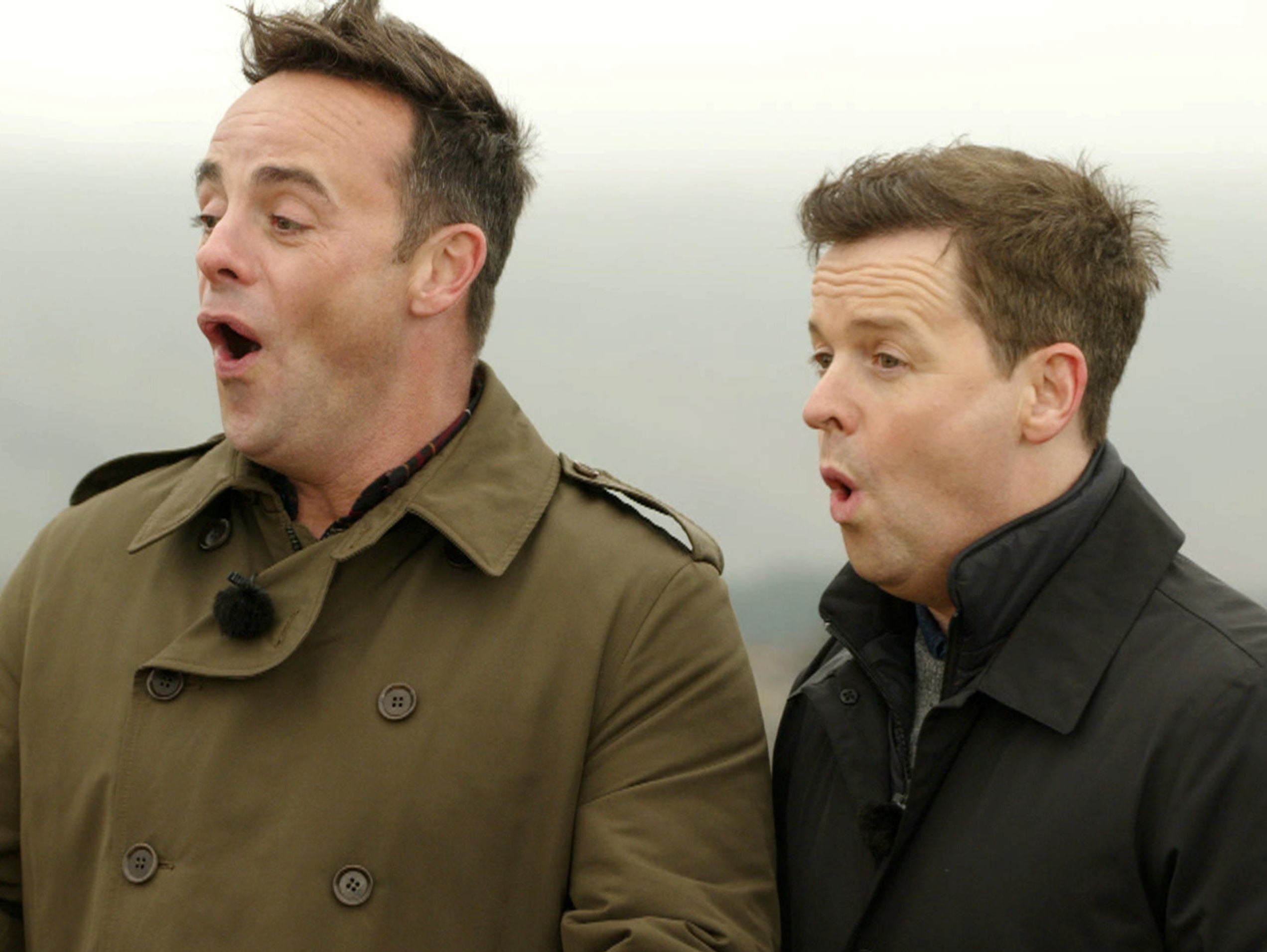 <p>I’m a Celebrity</p>