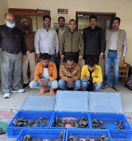 <p>Three accused -- Ravindra Kumar, Arman Ahmad and Saurabh Kashyap -- in the custody of Uttar Pradesh Special Task Force for the illicit trade of turtles in India </p>