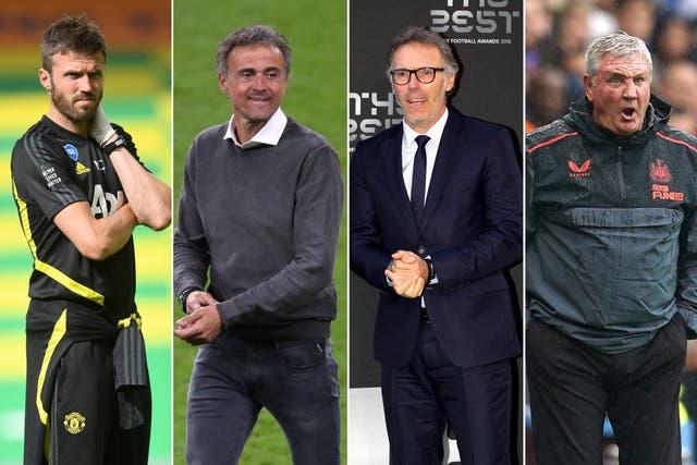 Michael Carrick, Luis Enrique, Laurent Blanc and Steve Bruce are among the possible candidates to take charge of Man Utd for the remainder of the season ( Joe Giddens/Nick Potts/Tim Goode/David Davies/PA)