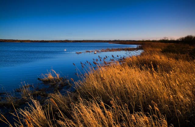 <p>Lough Neagh</p>