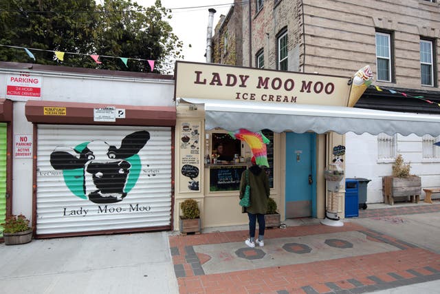 <p>What a scoop! Lady Moo Moo in Brooklyn </p>