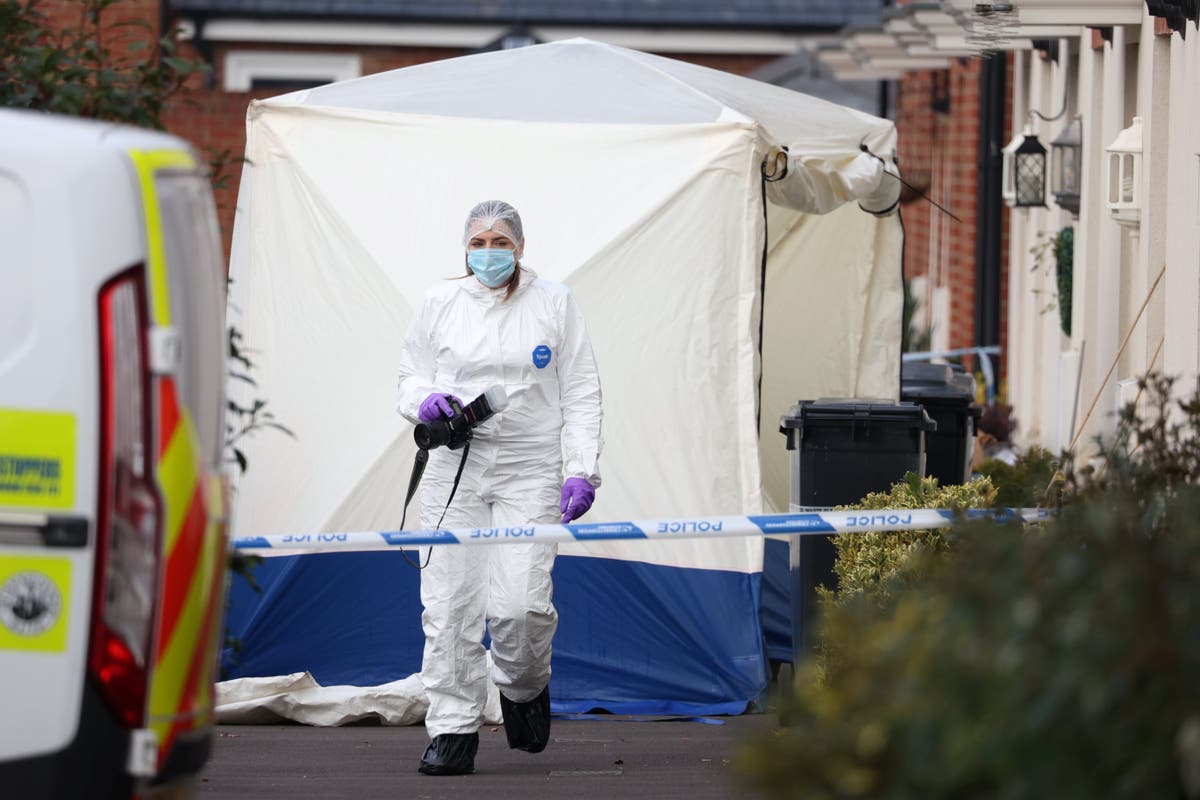 Somerset murders: Couple found dead inside house with children asleep upstairs