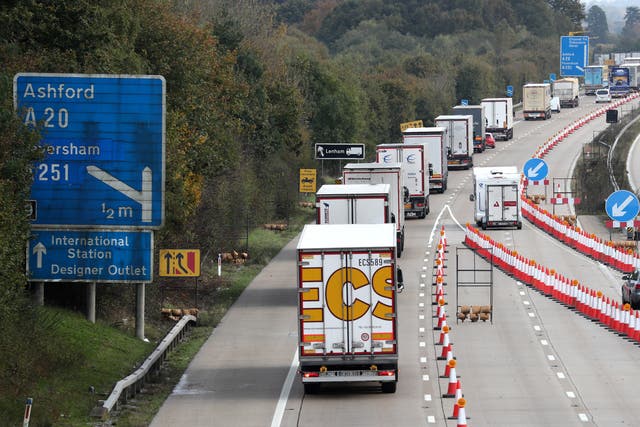 New European Union border identity checks could lead to 17-mile queues of lorries at Dover, MPs have been told (Gareth Fuller/PA)