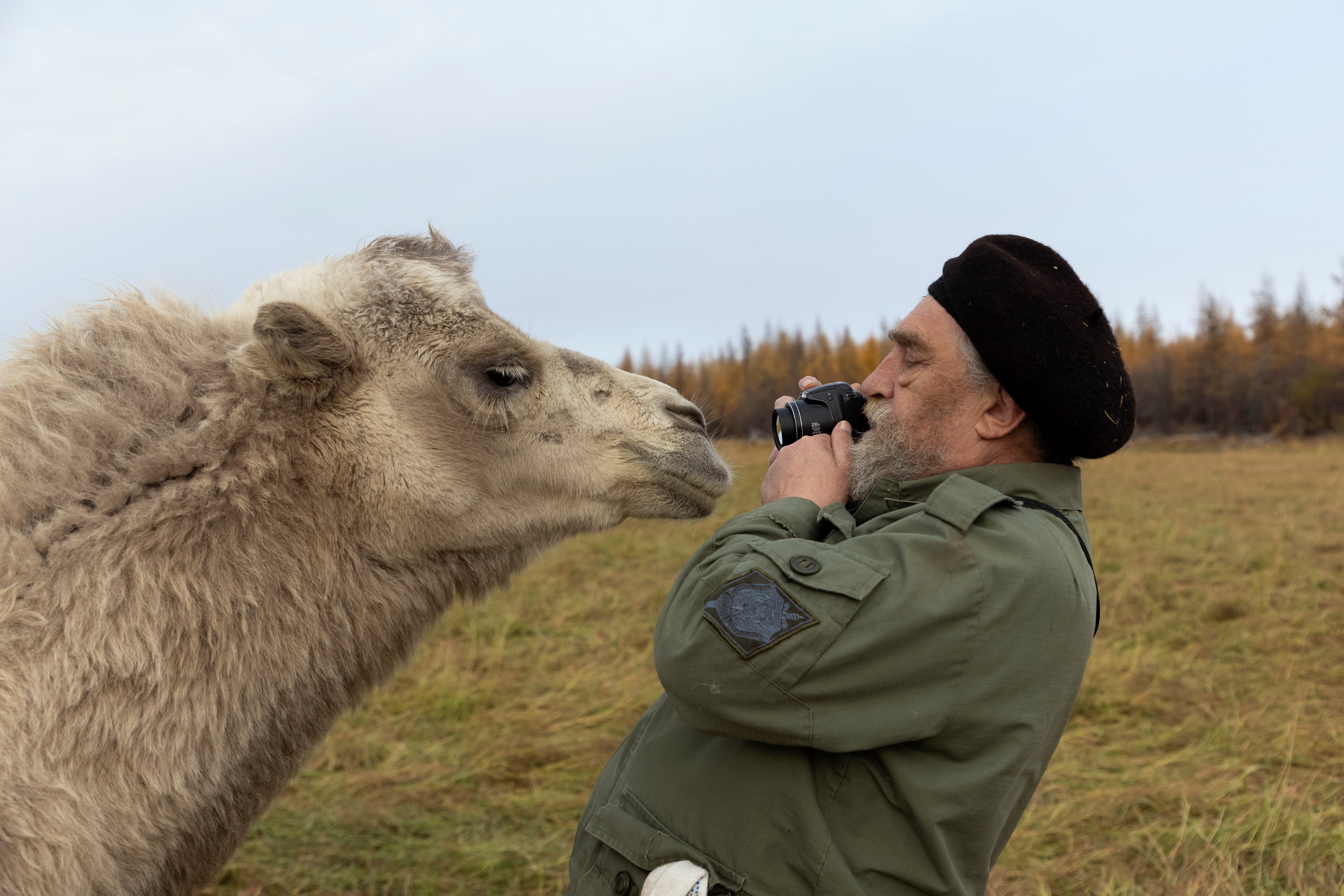 Sergey tries to take a picture of a camel