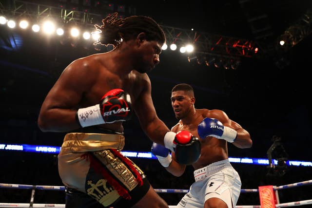 <p>Joshua knocked out Martin in 2016 </p>