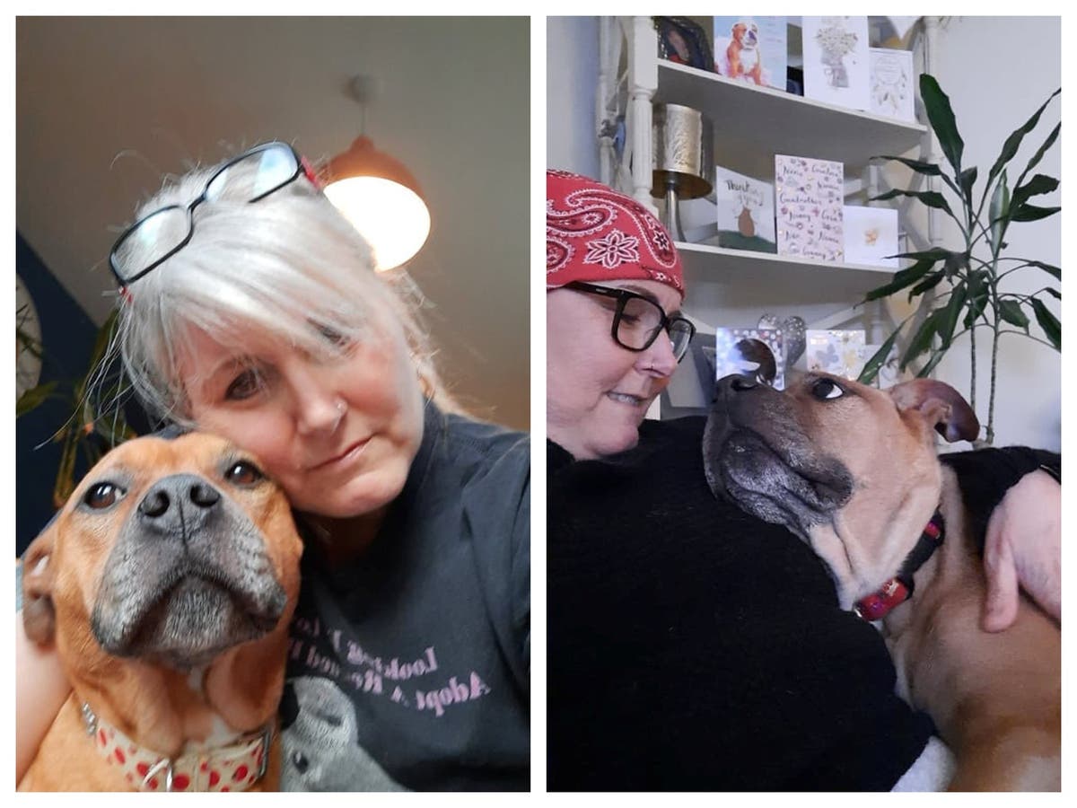 Woman says three-legged rescue dog helped her realise she had breast cancer