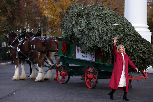 <p>First lady Jill Biden waves after she receives the official White House Christmas Tree on the North Portico of the White House on 22 November 2021</p>