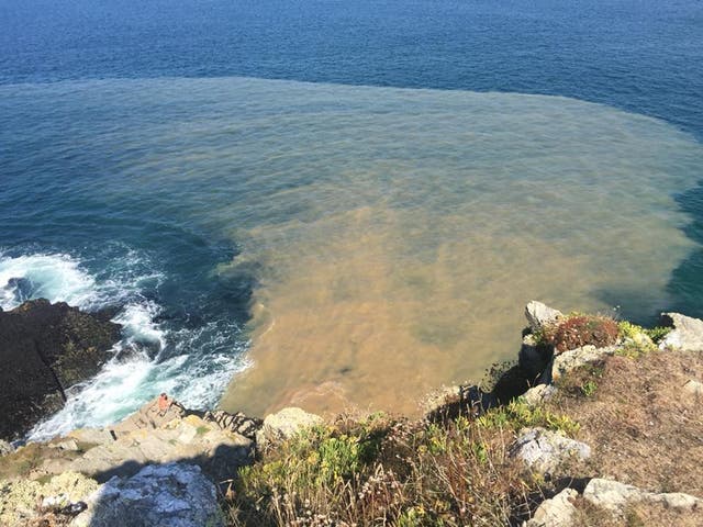 <p>A sewage slick at Newquay, Cornwall</p>